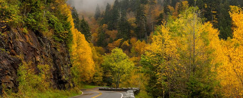 Newfound Gap road in the Smokies in the fall