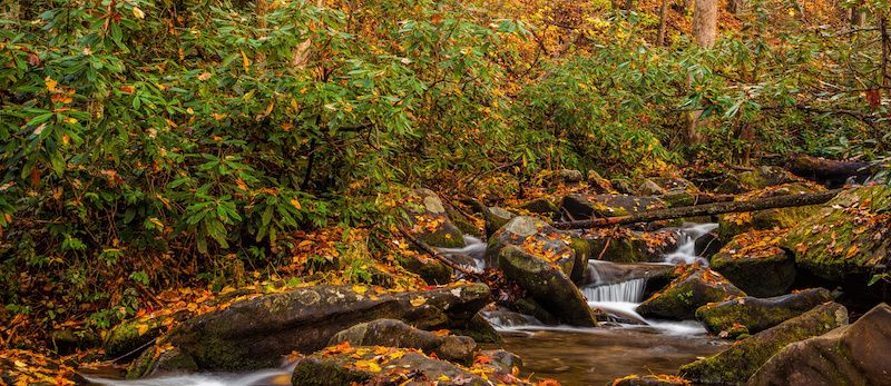 Stream on the Roaring Fork Motor Nature Trail in the fall